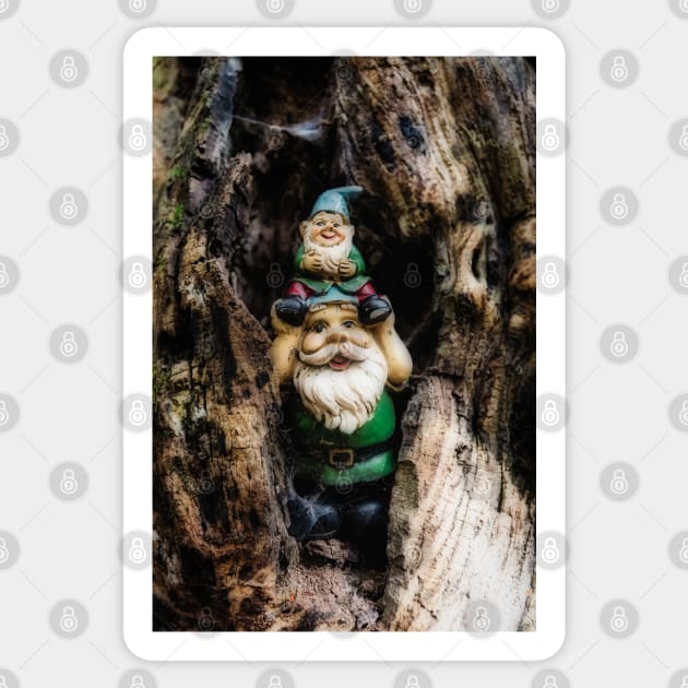 Woodland Gnomes 3 Sticker by Robert Alsop